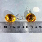 Baltic Amber Feature Earrings