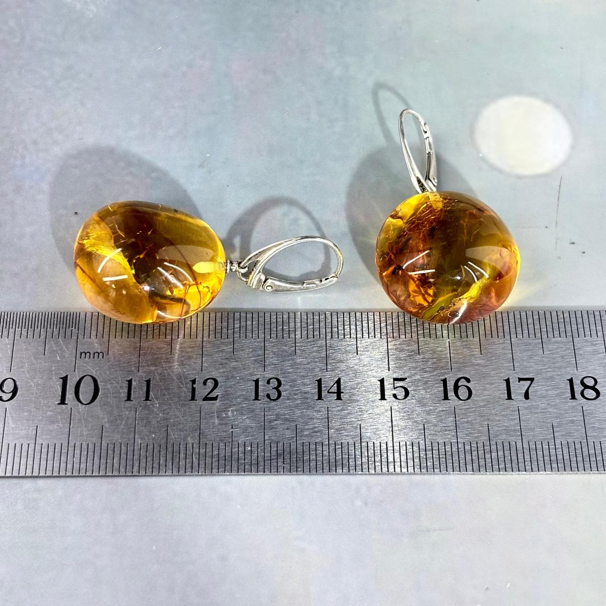 Baltic Amber Feature Earrings