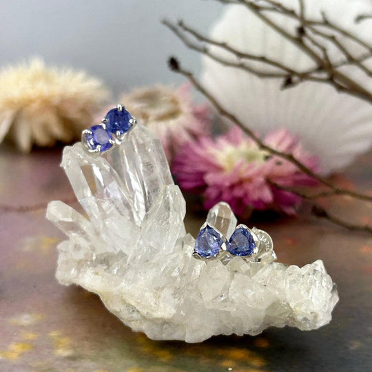 Tanzanite Assorted Shape Small Stud Earrings