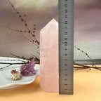 Crystal To Ask For Forgiveness