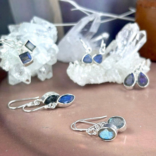 Labradorite Assorted Shape Drop Earrings