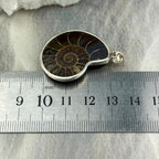 Dinosaur Lover Jewellery