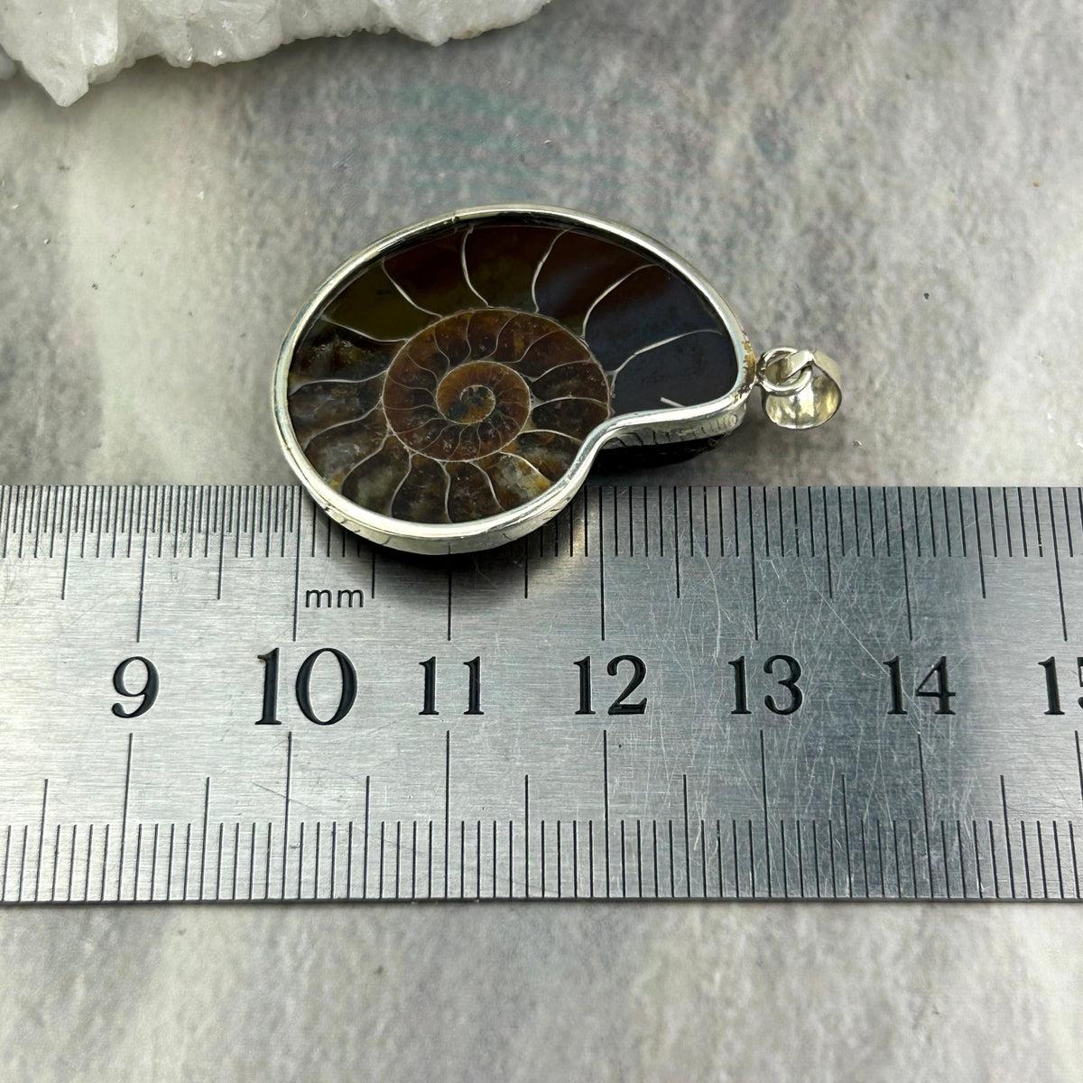 Dinosaur Lover Jewellery