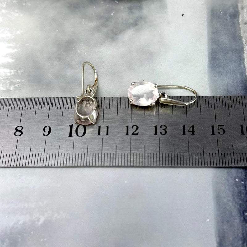 Classic Design Gemstone Earrings