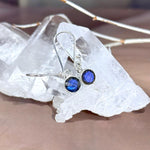 Labradorite Assorted Shape Drop Earrings