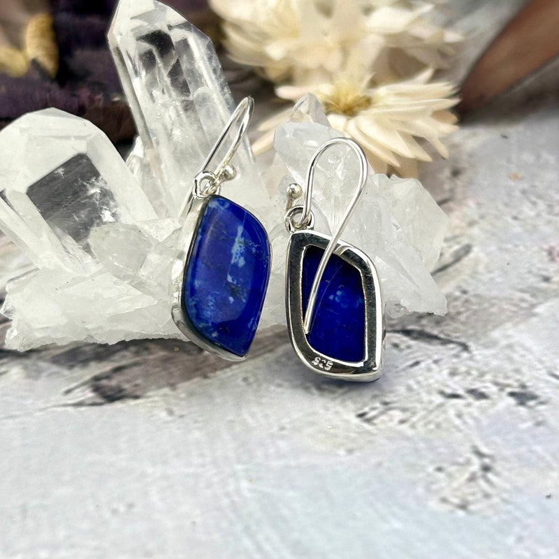 Bright Blue Stone Earrings