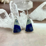 Blue And White Crystal Earrings