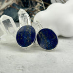 Blue And Gold Stone Earrings