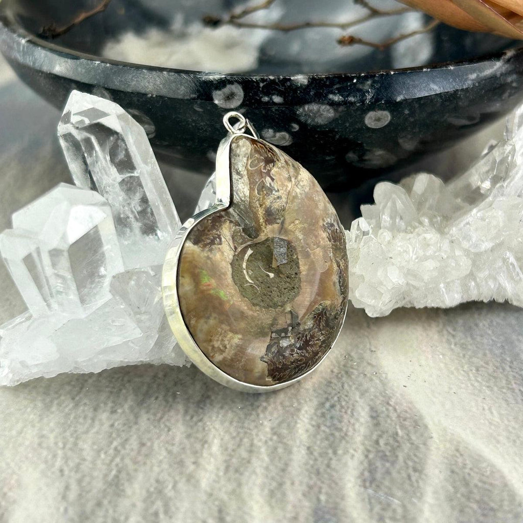 Fossilised Shell Pendant