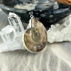 Fossilised Shell Pendant