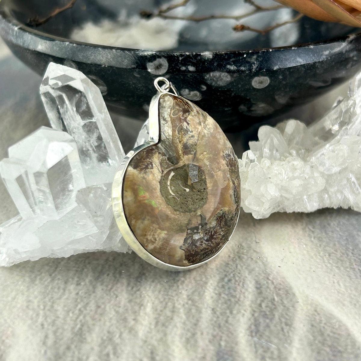 Fossilised Shell Pendant
