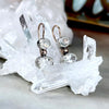 Silver And Rose Gold Evening Earrings