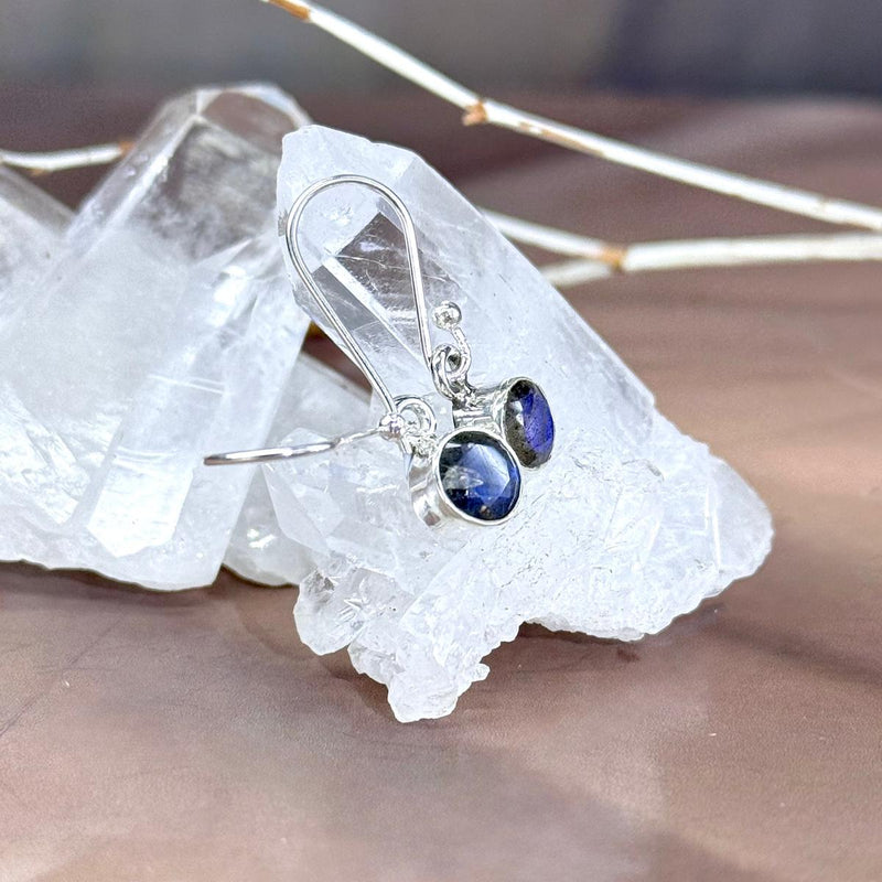 Labradorite Assorted Shape Drop Earrings