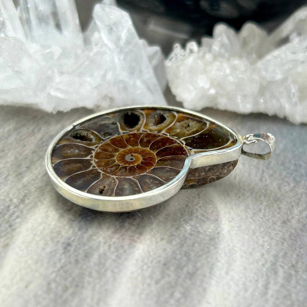 Ammonoidea Jewellery
