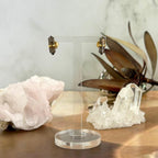 Smoky Quartz Studs