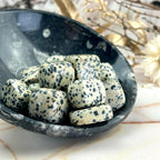 Dalmation Jasper Crystal
