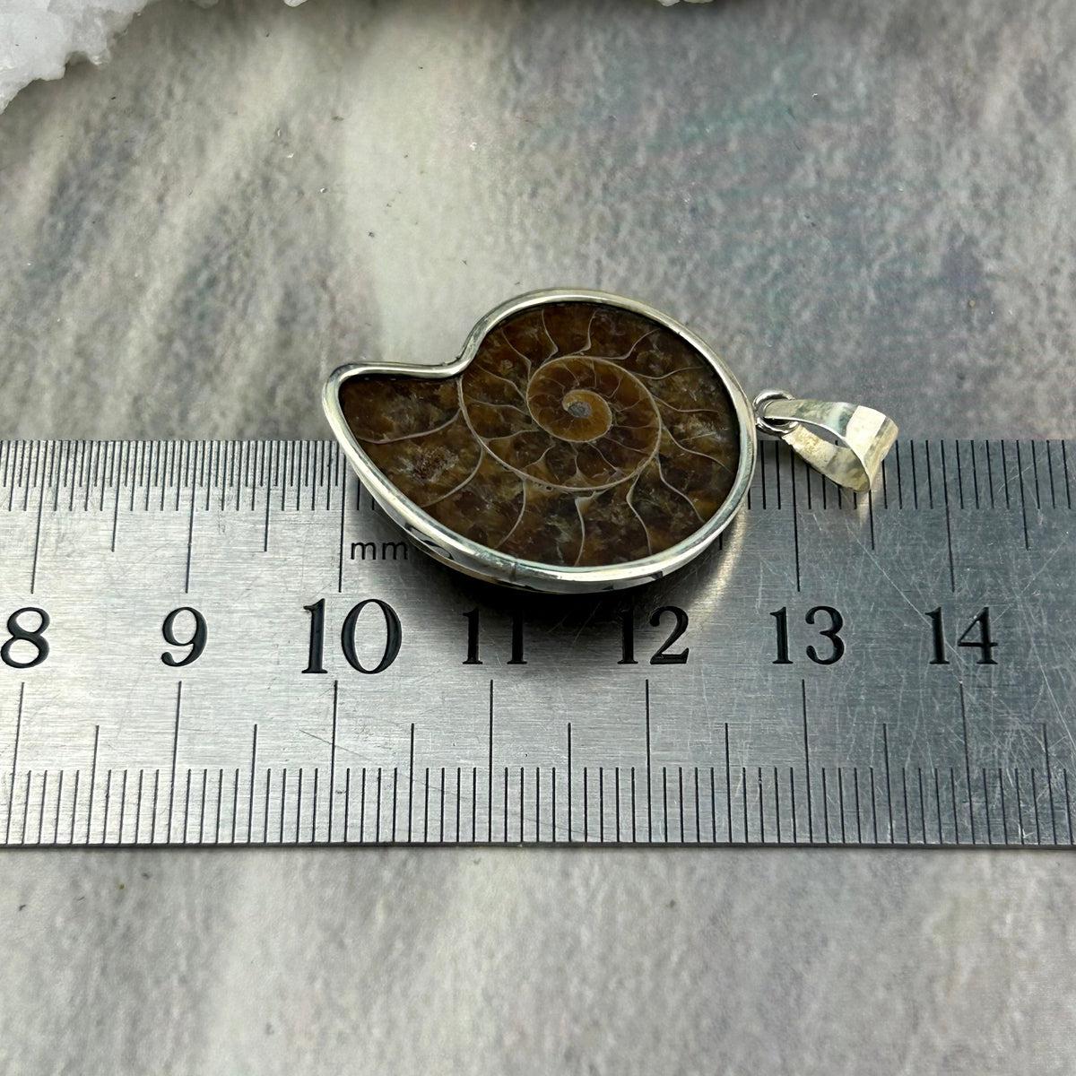 Million Year Old Stone 