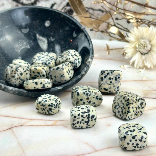 Dalmation Jasper Tumbled Stones