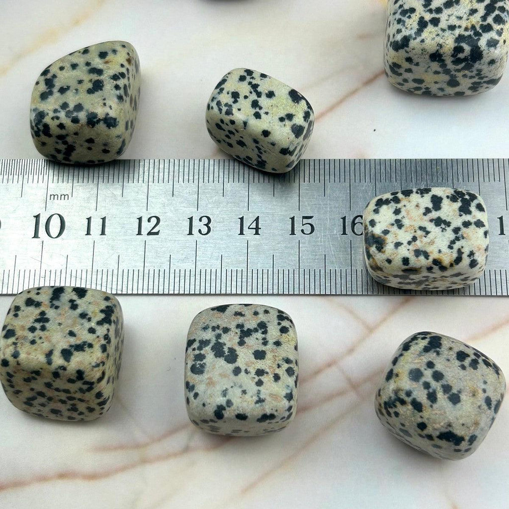 Dalmation Jasper Polished Stone