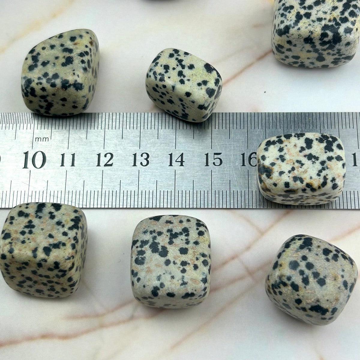 Dalmation Jasper Polished Stone