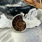 Fossil Crystal Pendant