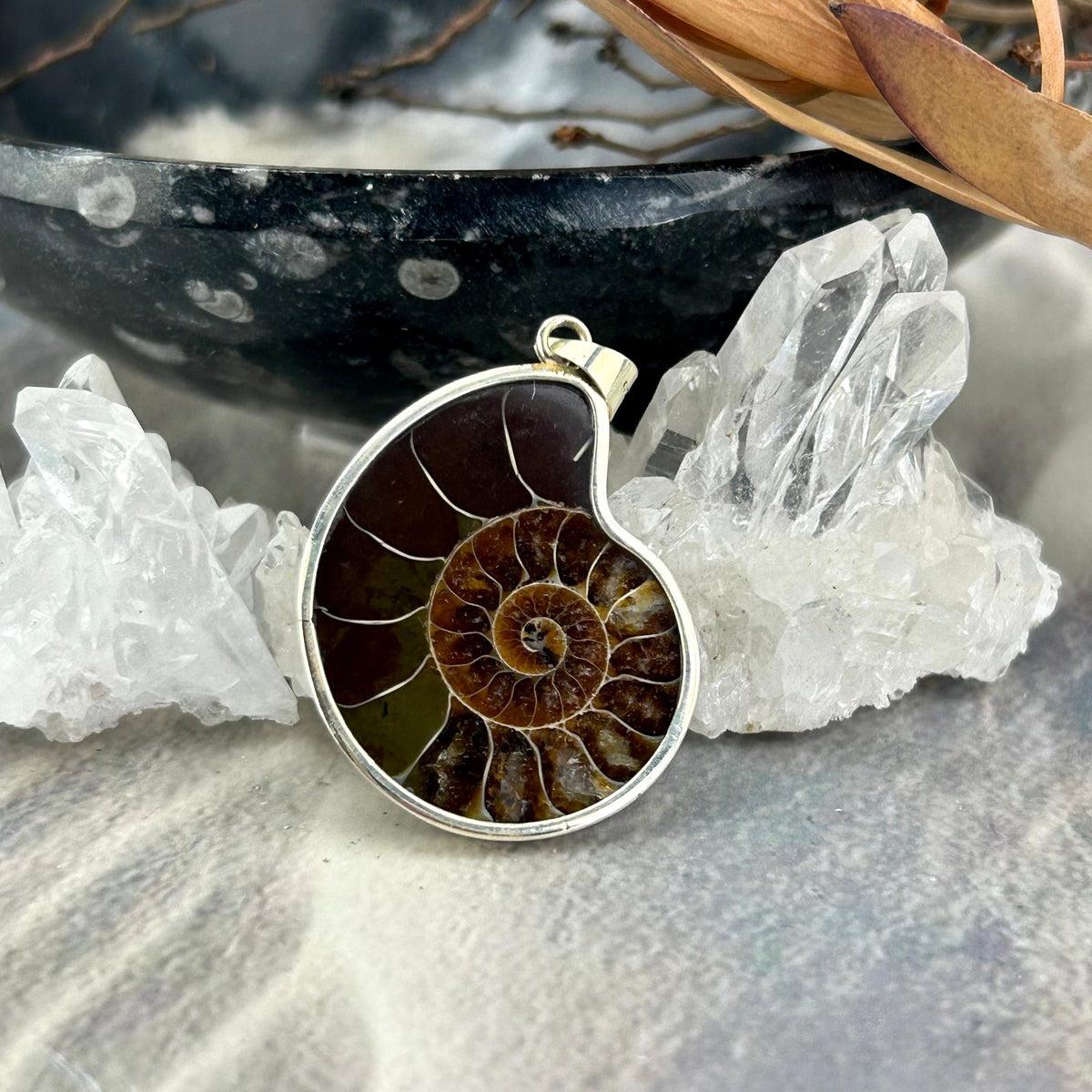 Fossil Crystal Pendant