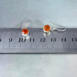 Carnelian Assorted Shape Drop Earrings