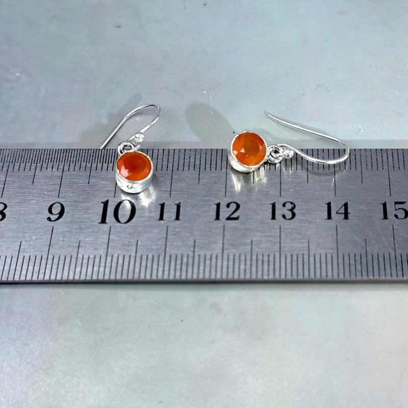 Carnelian Assorted Shape Drop Earrings