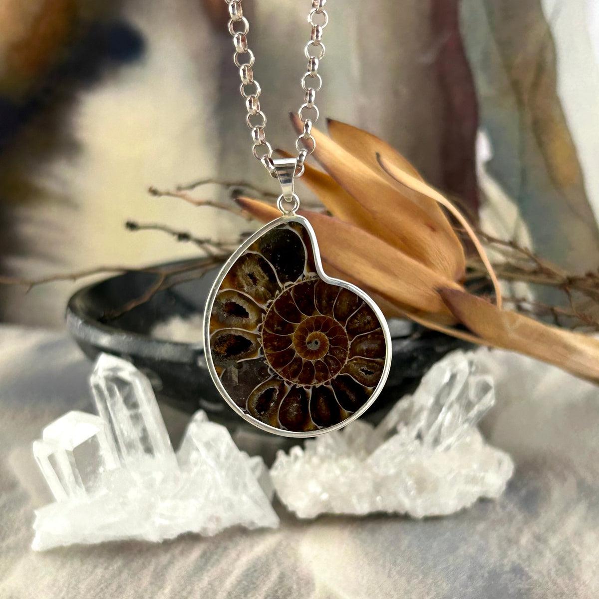 Ammonoidea Jewelry