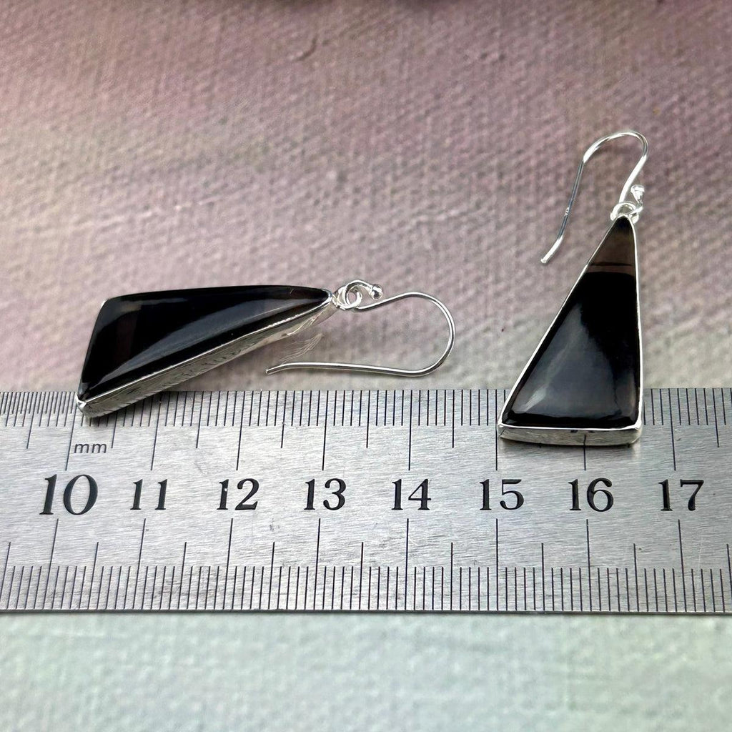 Black Crystal Earrings