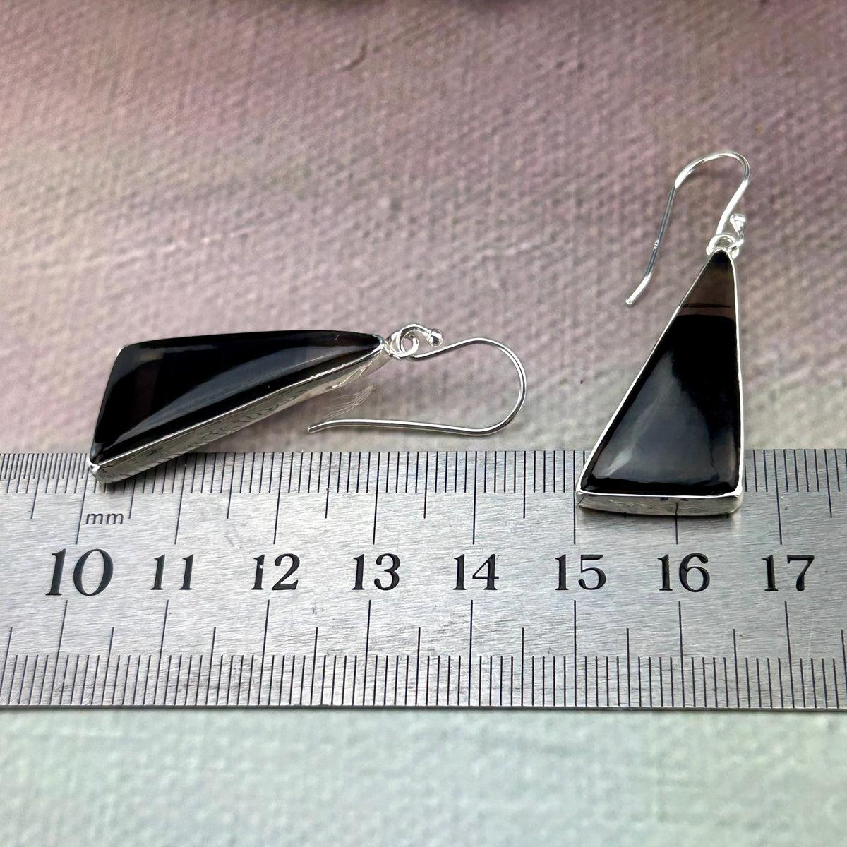 Black Crystal Earrings