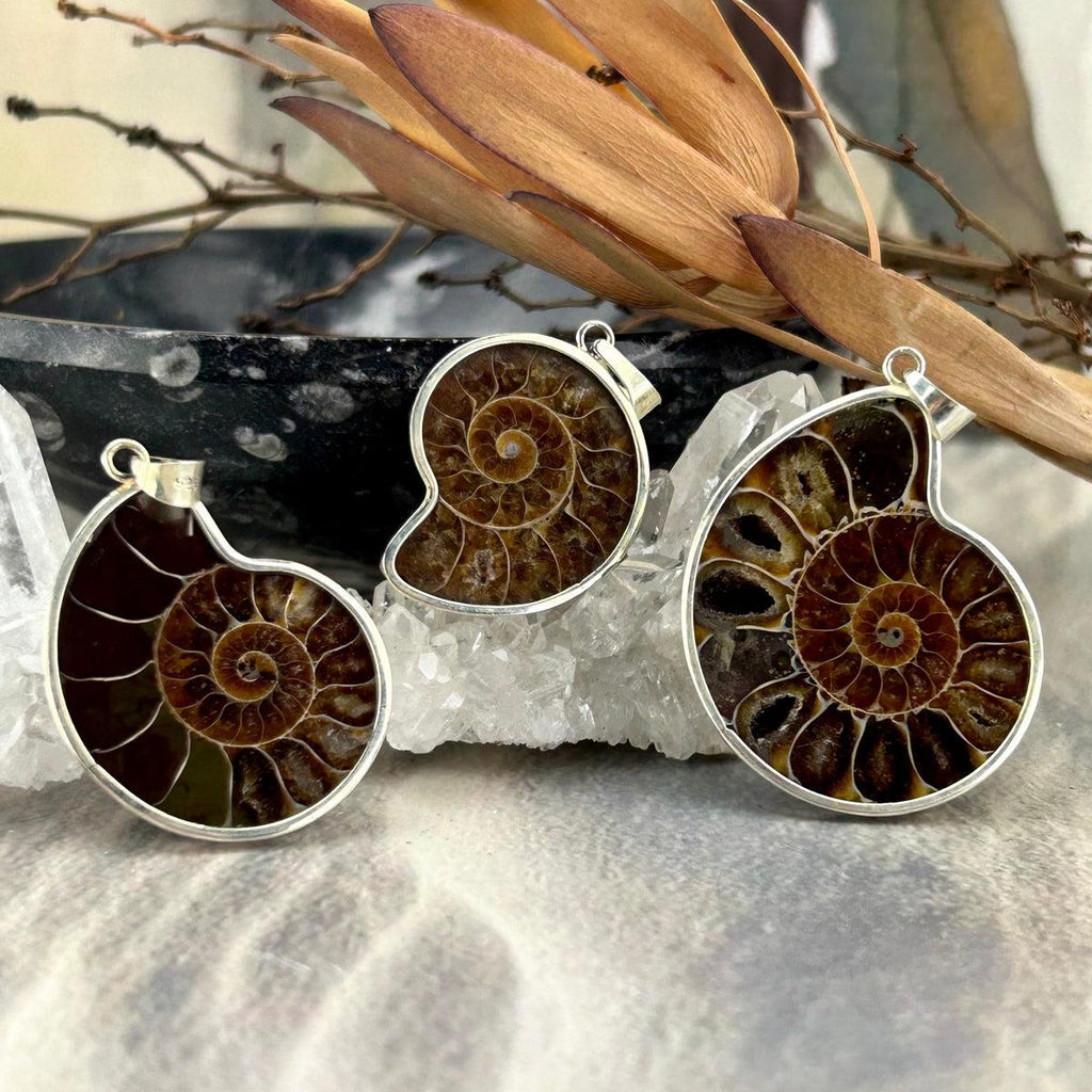 Ammonite In Sterling Silver Pendant