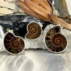 Ammonite In Sterling Silver Pendant