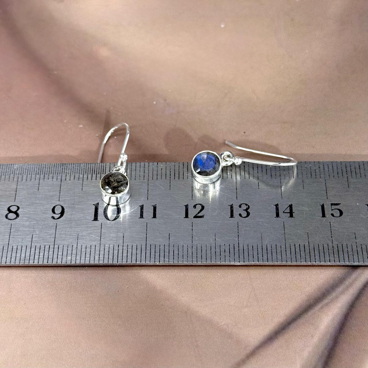 Labradorite Assorted Shape Drop Earrings