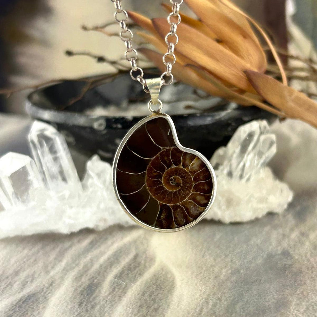 Shell Fossil Pendant