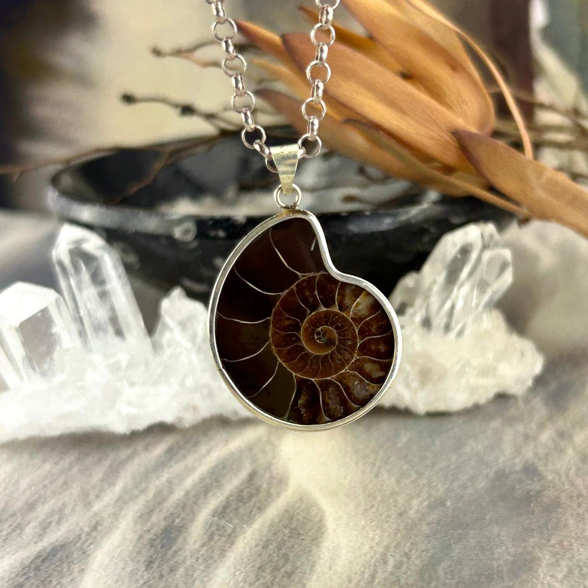 Shell Fossil Pendant