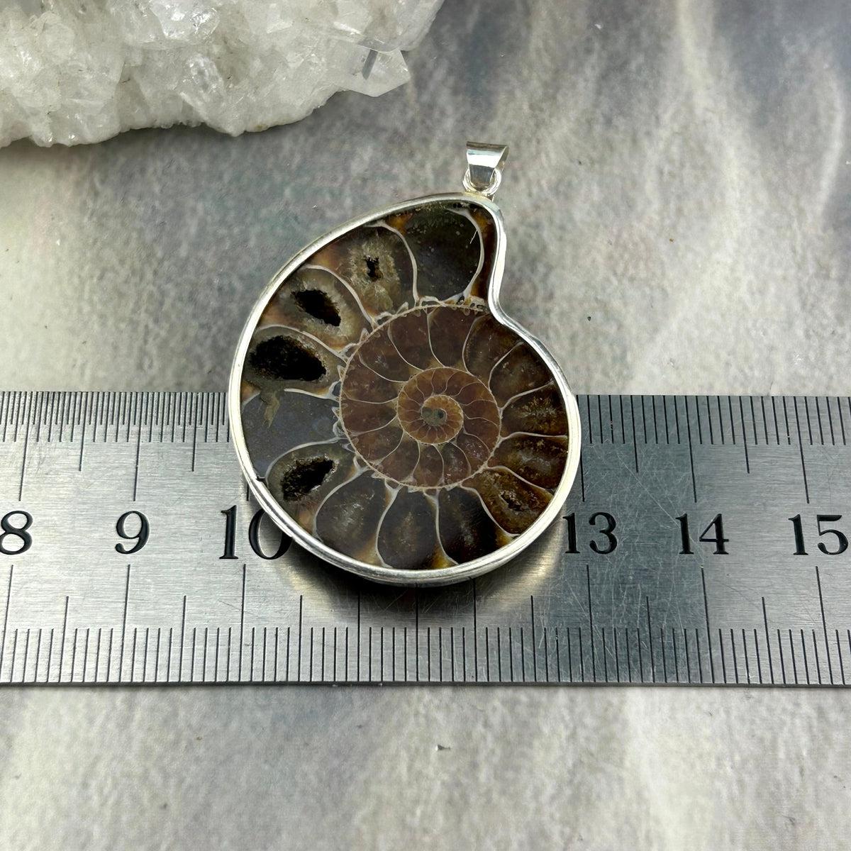 Fossilised Shell Jewellery