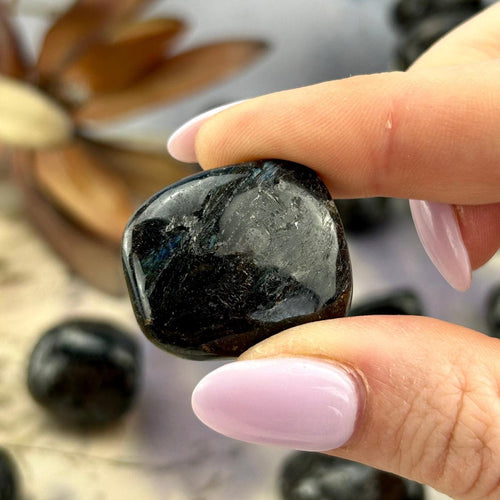 Astrophyllite Crystal