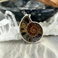Ammonite Fossil Necklace