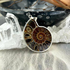 Ammonite Fossil Necklace