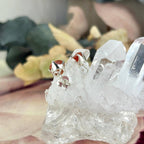 Vibrant Colour Crystal Earrings