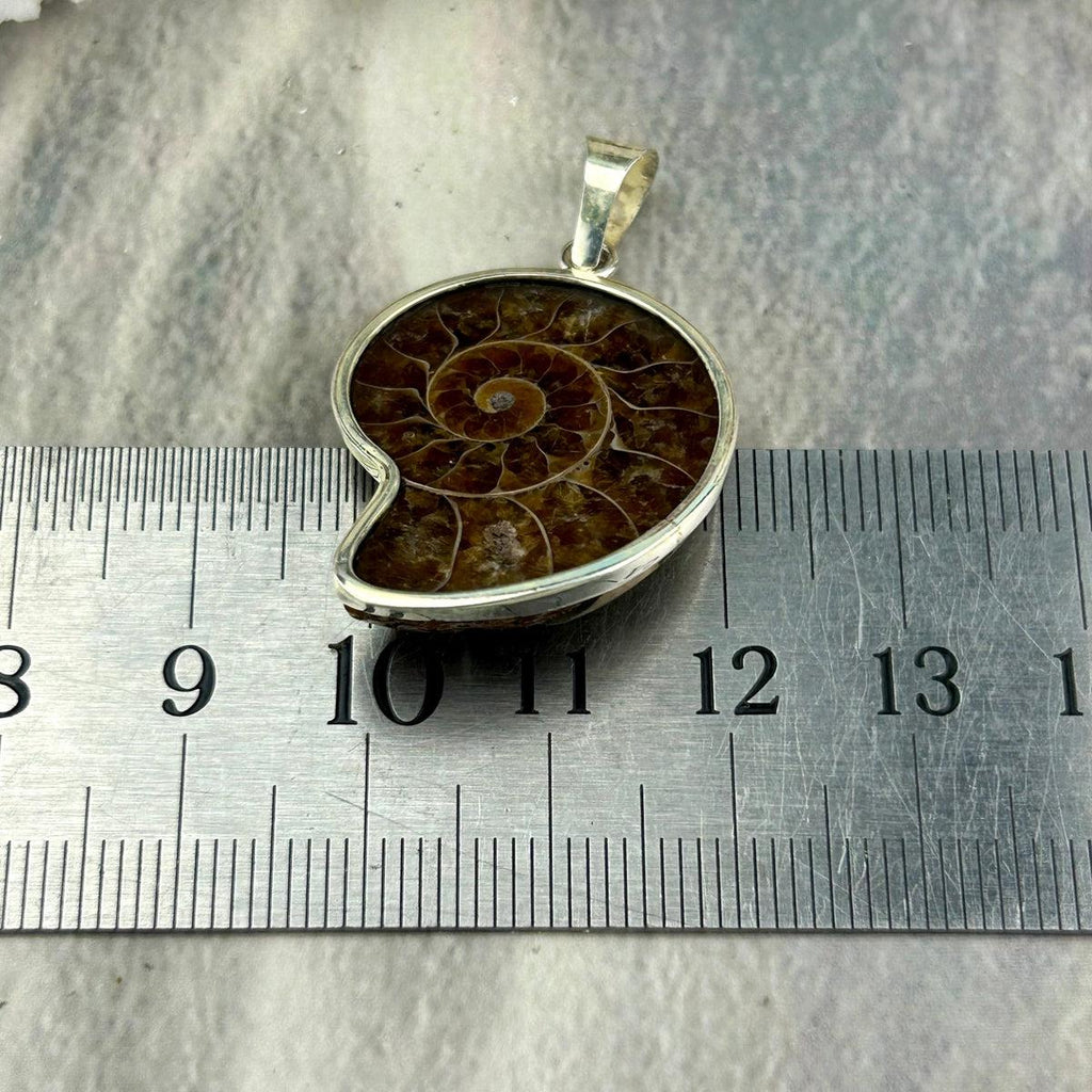 Dinosaur Sea Pendant