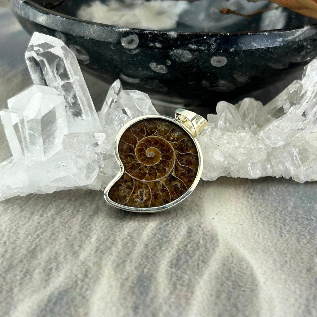 Dinosaur Lover Jewelry