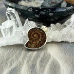 Dinosaur Lover Jewelry