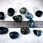 Moss Agate Crystal