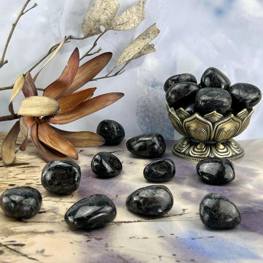 Astrophyllite Tumbled Stones