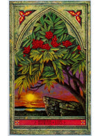 The Spirit Of Nature Oracle