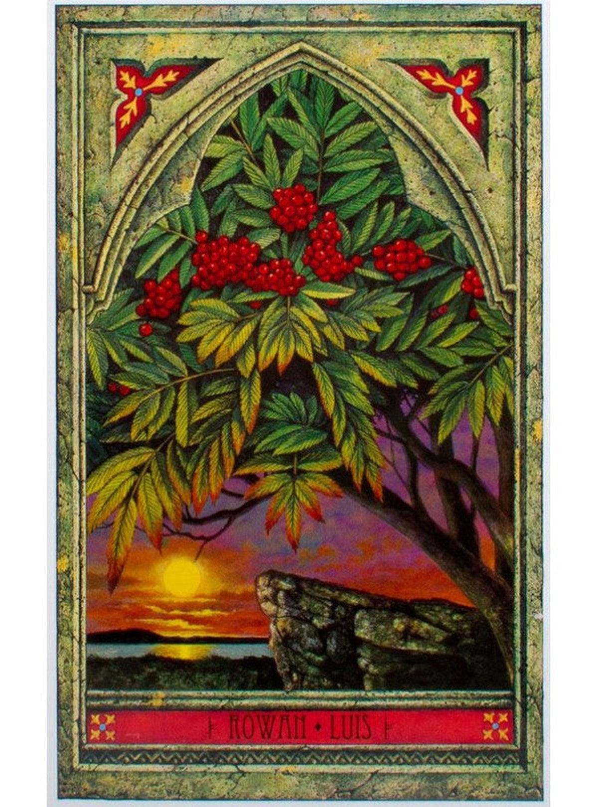 The Spirit Of Nature Oracle