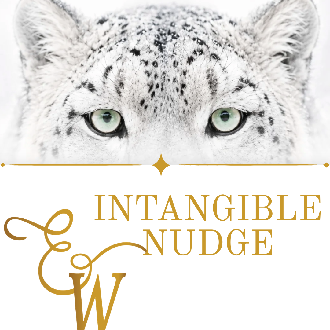 Intangible Nudge
