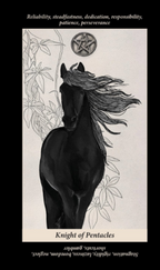 Soul Reflections Tarot